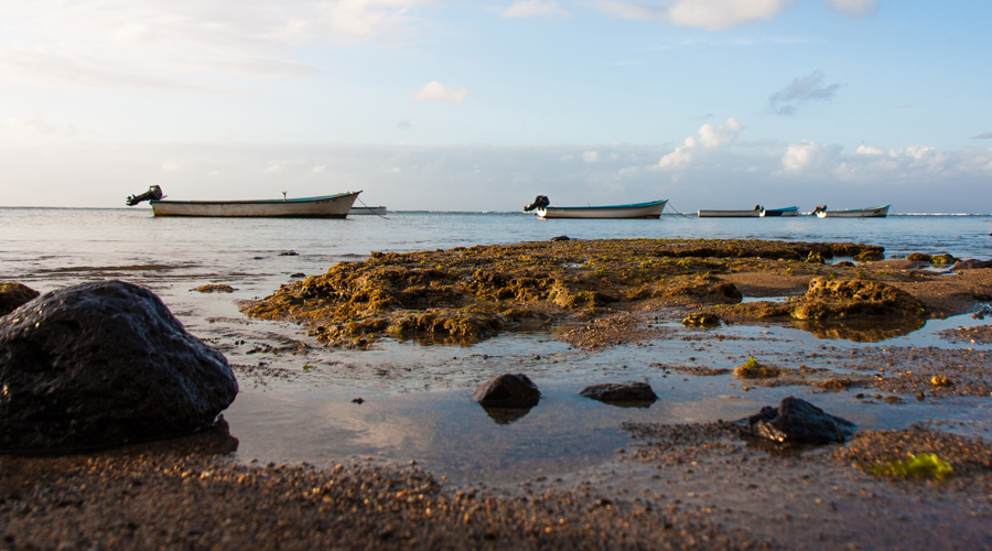 Mauritius-Climate.jpg