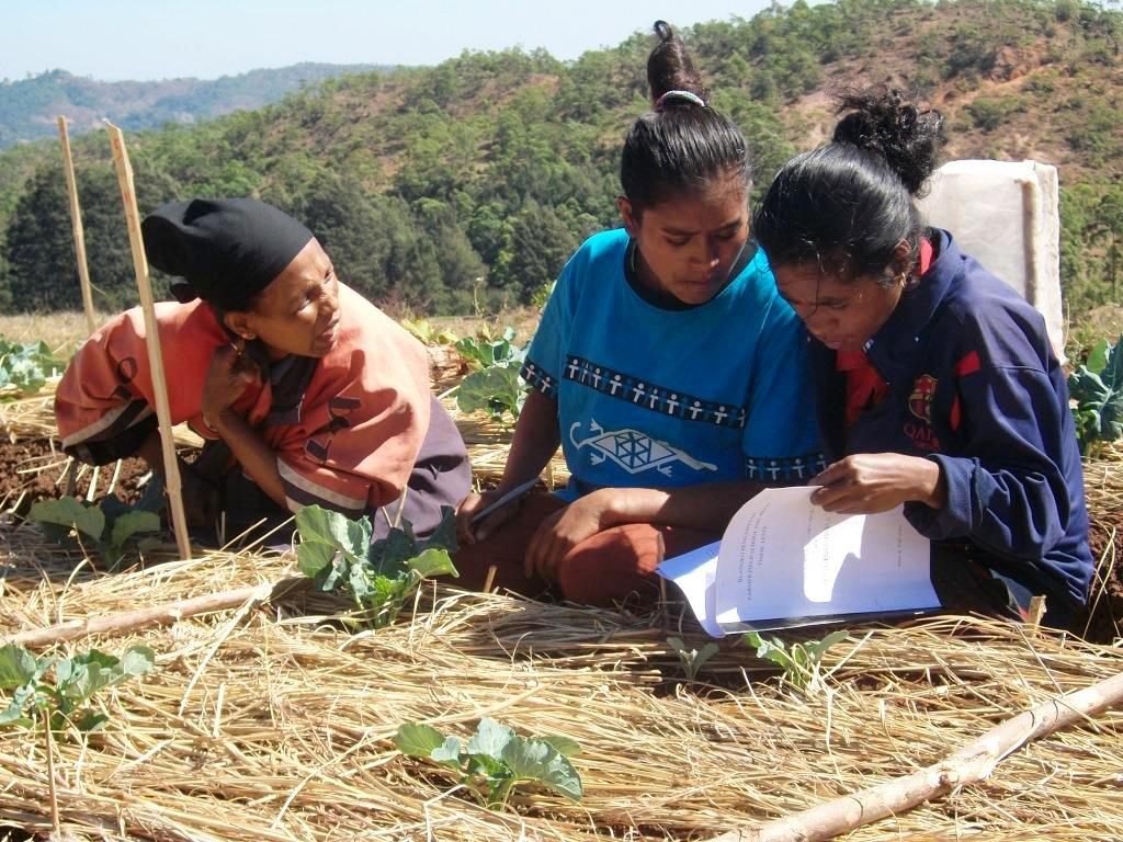 Timor-Leste, Women studying.jpg